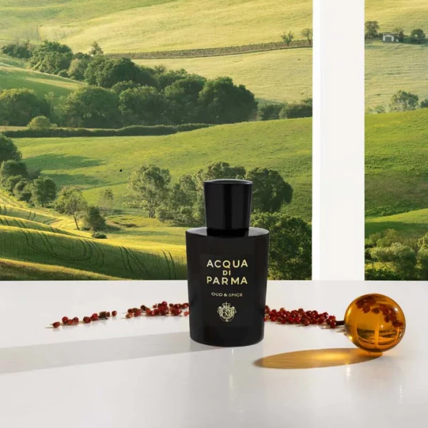 Acqua di Parma - Oud & Spice - Eau De Parfum - immagine 2